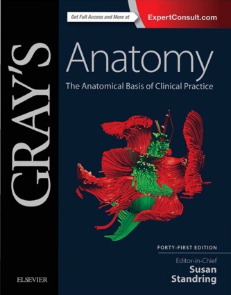 Gray's anatomy 42nd edition pdf