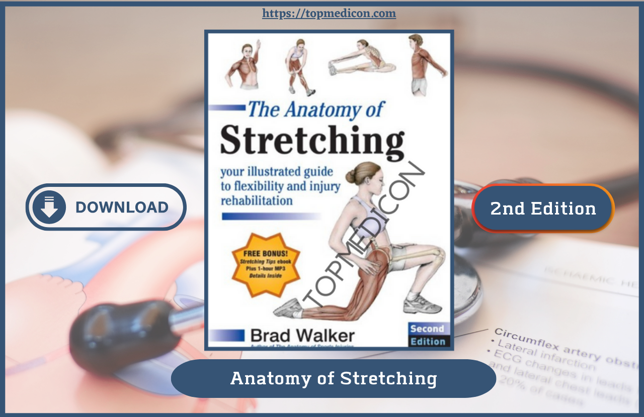 Anatomy of Stretching PDF