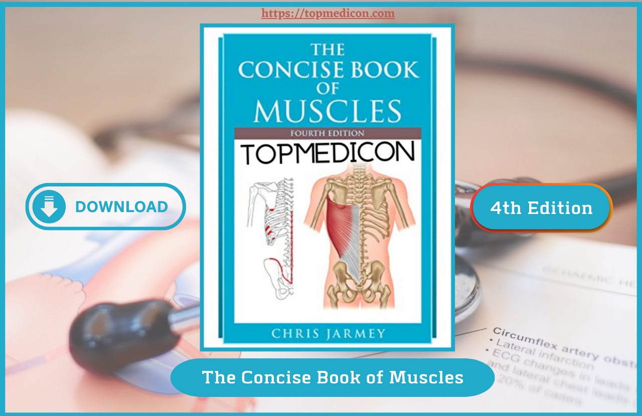The Concise Book of Muscles PDF
